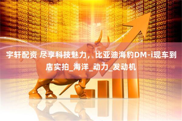 宇轩配资 尽享科技魅力，比亚迪海豹DM-i现车到店实拍_海洋_动力_发动机