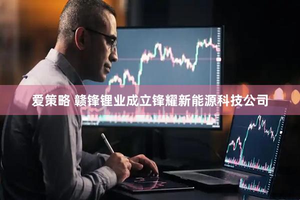 爱策略 赣锋锂业成立锋耀新能源科技公司