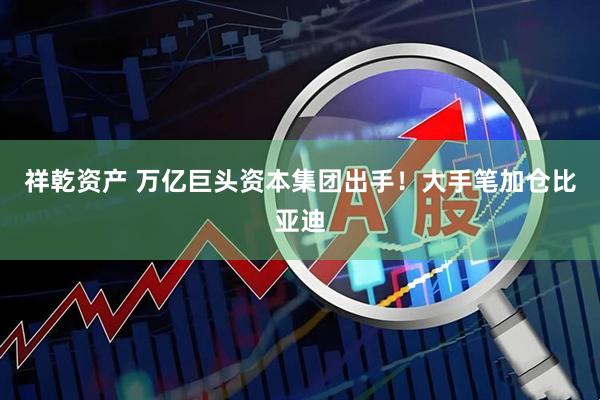 祥乾资产 万亿巨头资本集团出手！大手笔加仓比亚迪