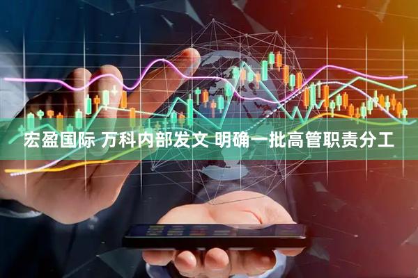 宏盈国际 万科内部发文 明确一批高管职责分工