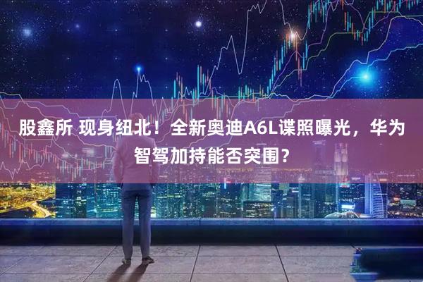 股鑫所 现身纽北！全新奥迪A6L谍照曝光，华为智驾加持能否突围？